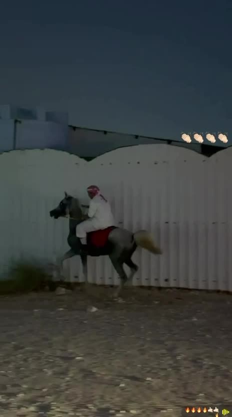 حصان خصي للييع - 5
