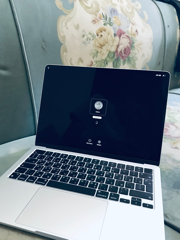 MacBook (M2 Air) Icloud lock - 4