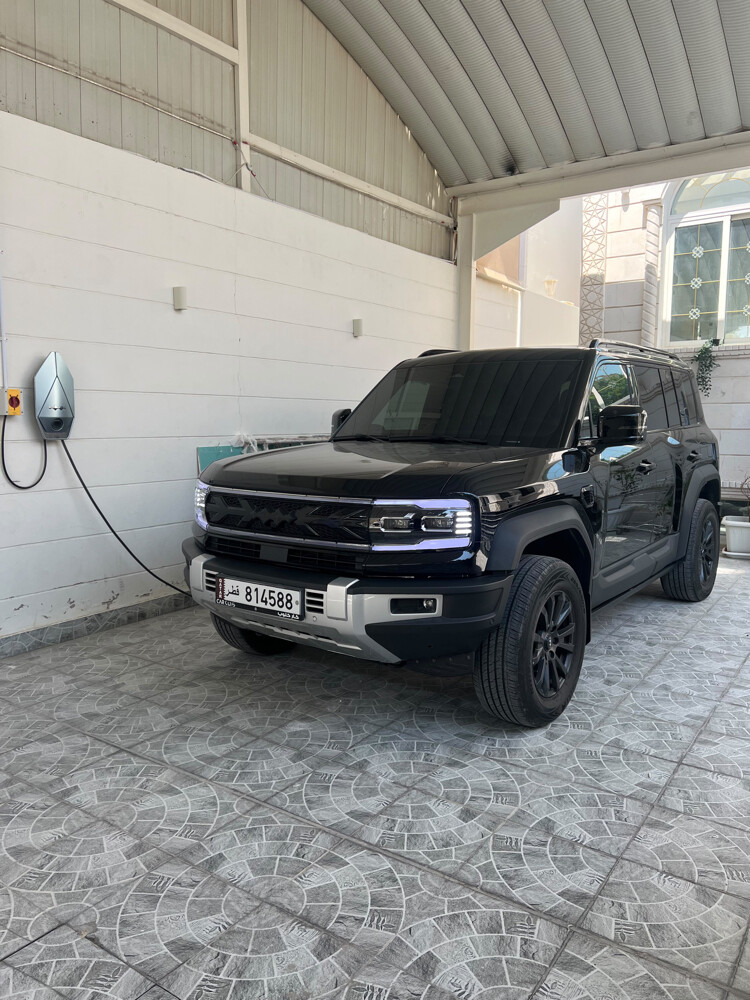 ليوبارد 2025 - 1