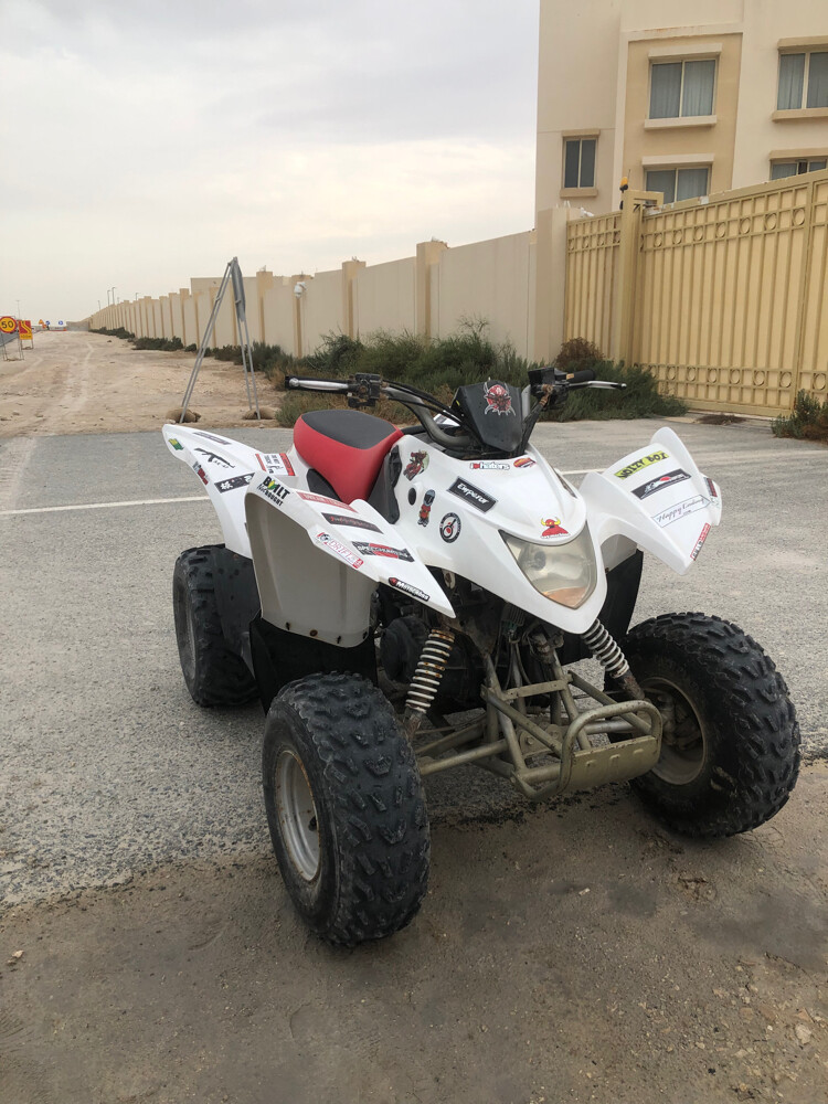 aeon cobra 100cc modified  - 3