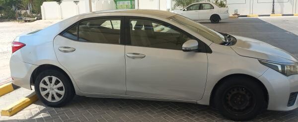الدوحة عين خالد - 5