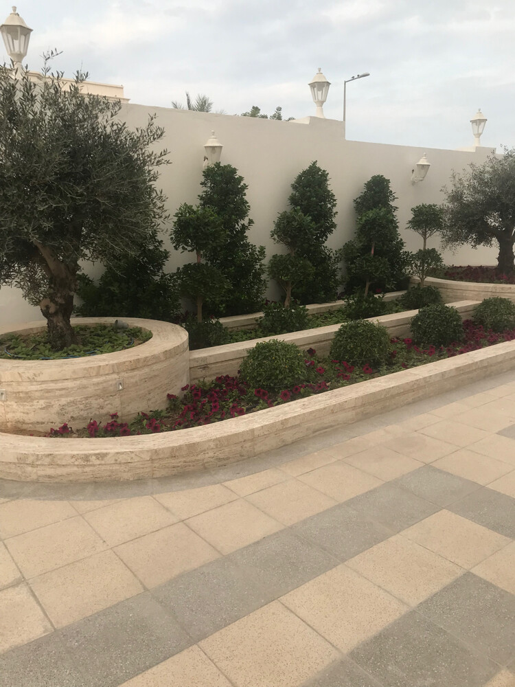 صيانه شهريه للحدايق  - 2
