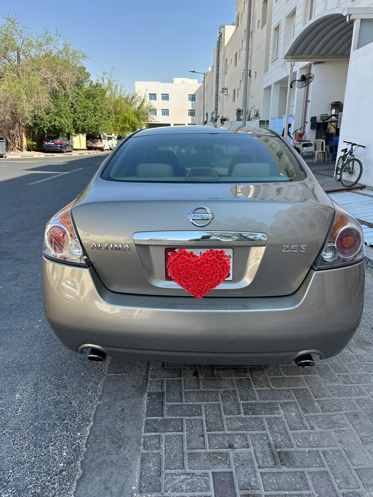 شاهين  - 1