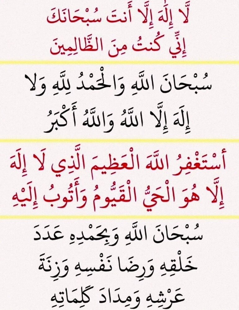 سائق مصري يبحث عن عمل - 1