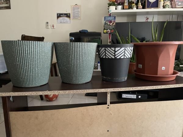 Plant pot for sale - 2