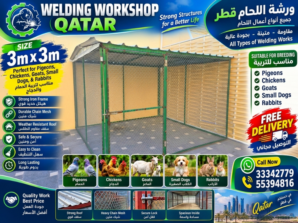 قن دجاج - 2