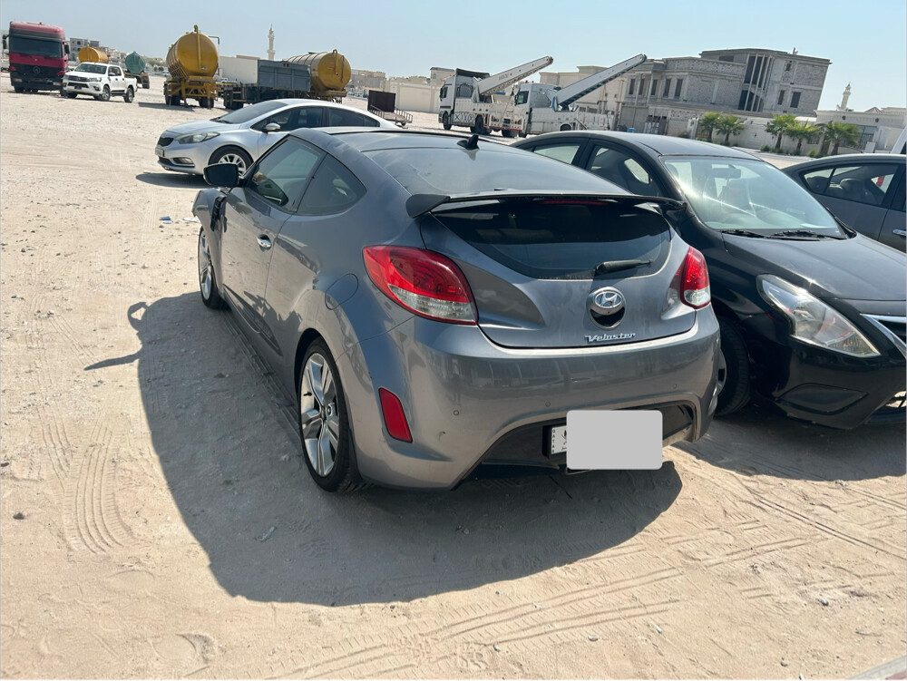 هيواندي فاليستر - 1