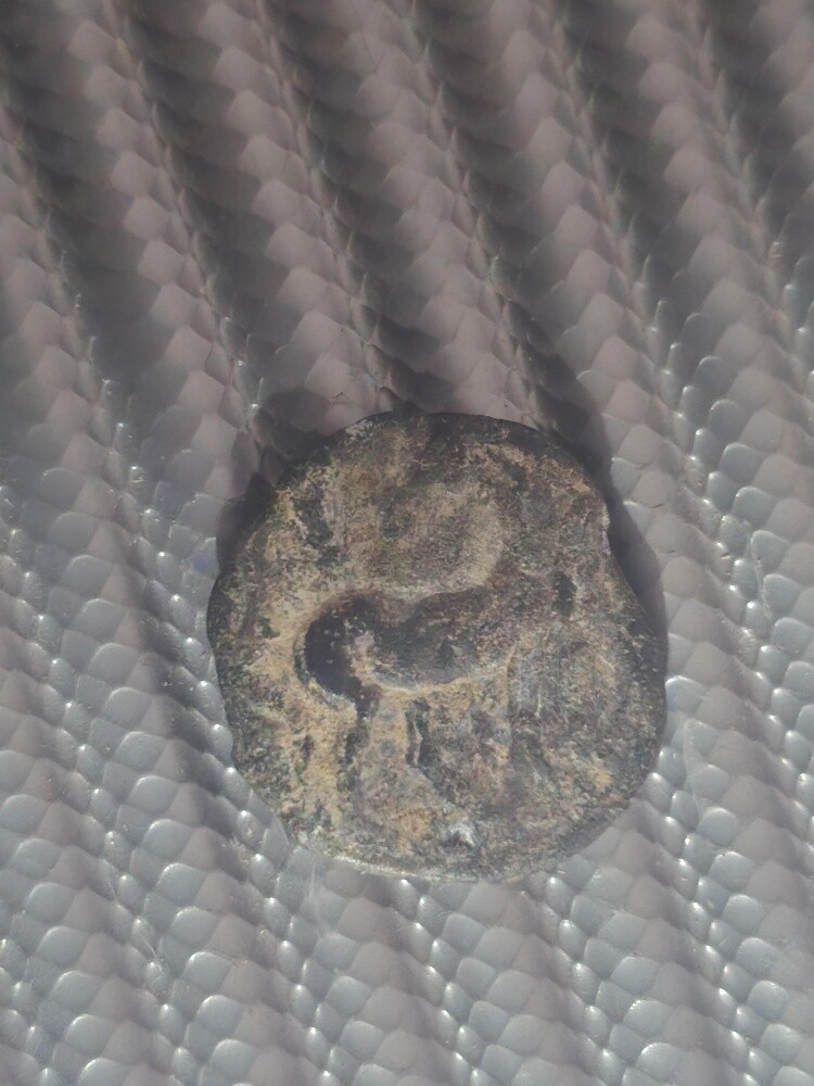 Carthagian Rare coin - 3