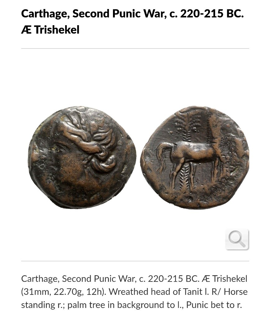 Carthagian Rare coin - 5