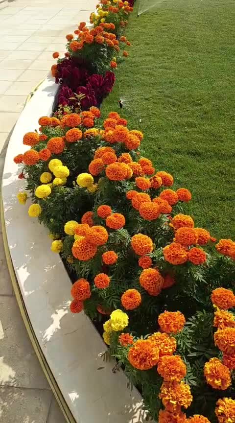 ELITE GARDEN & IRRIGATION - 1