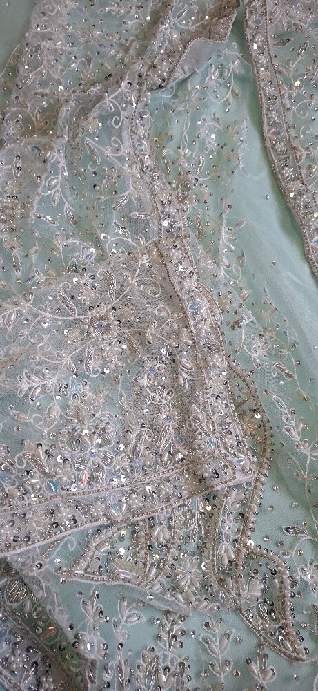 Special Embroidery Lehenga - 2