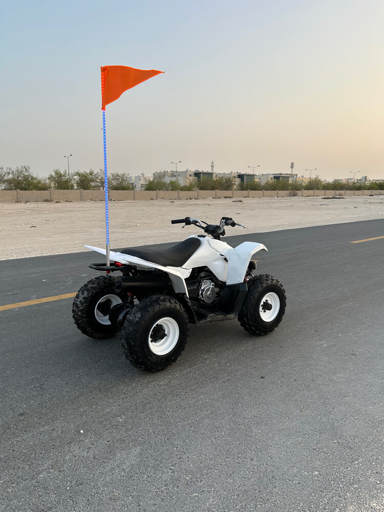 Suzuki 90cc - 7