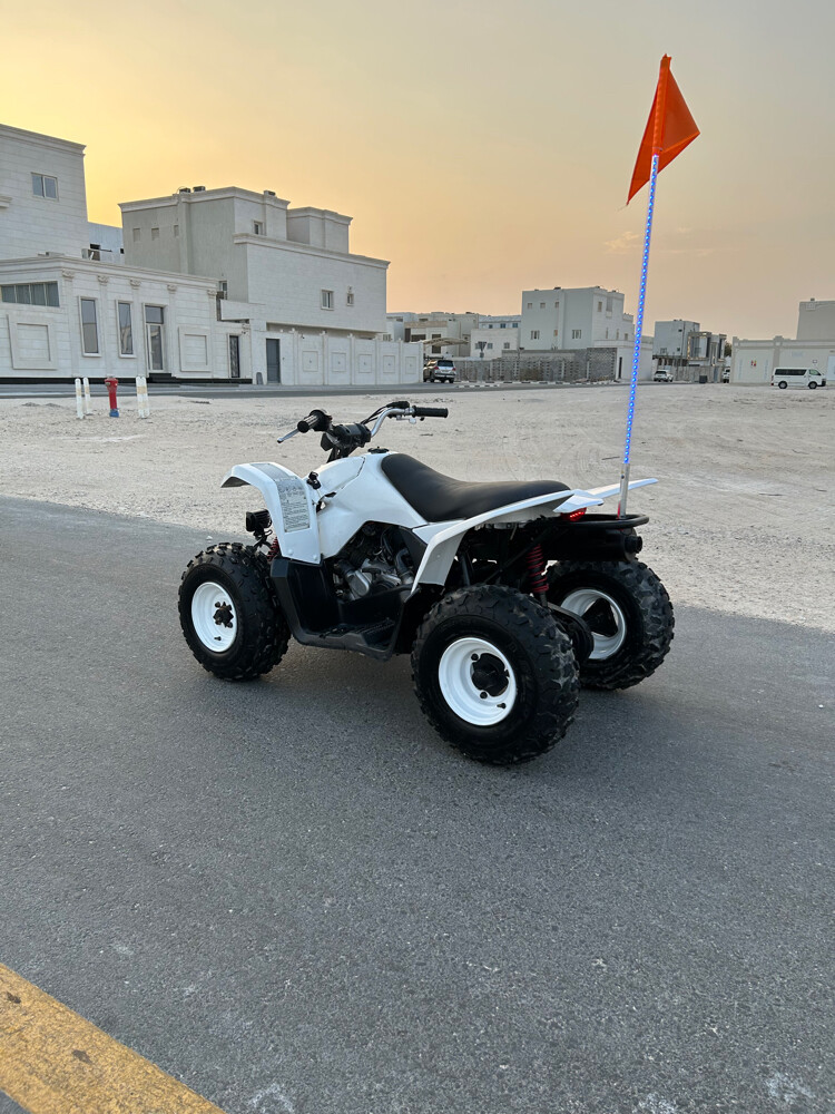 Suzuki 90cc - 8