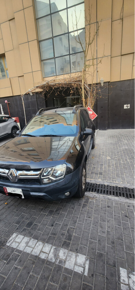 رينو داستر - 4
