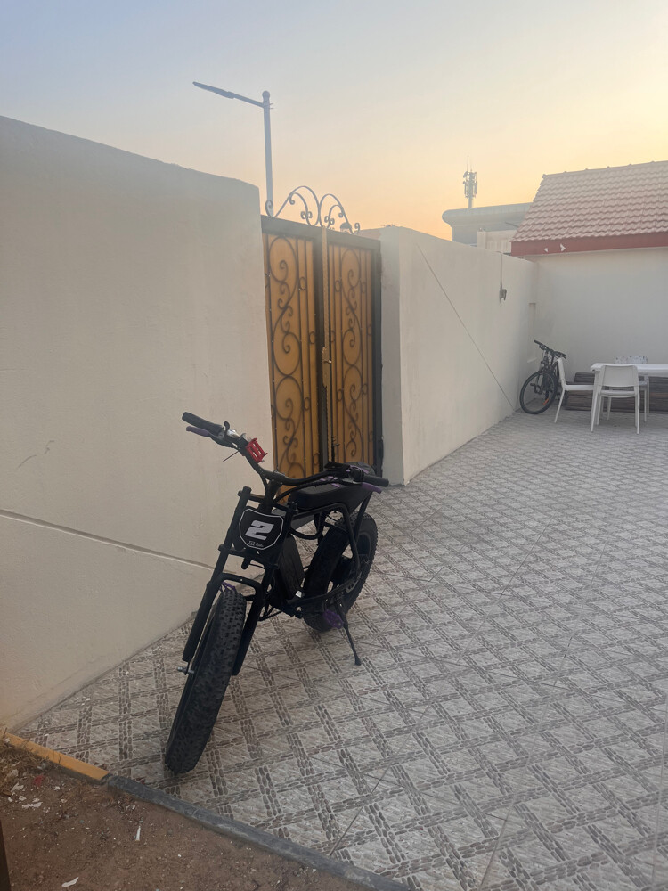 PRO E-Bike - 2