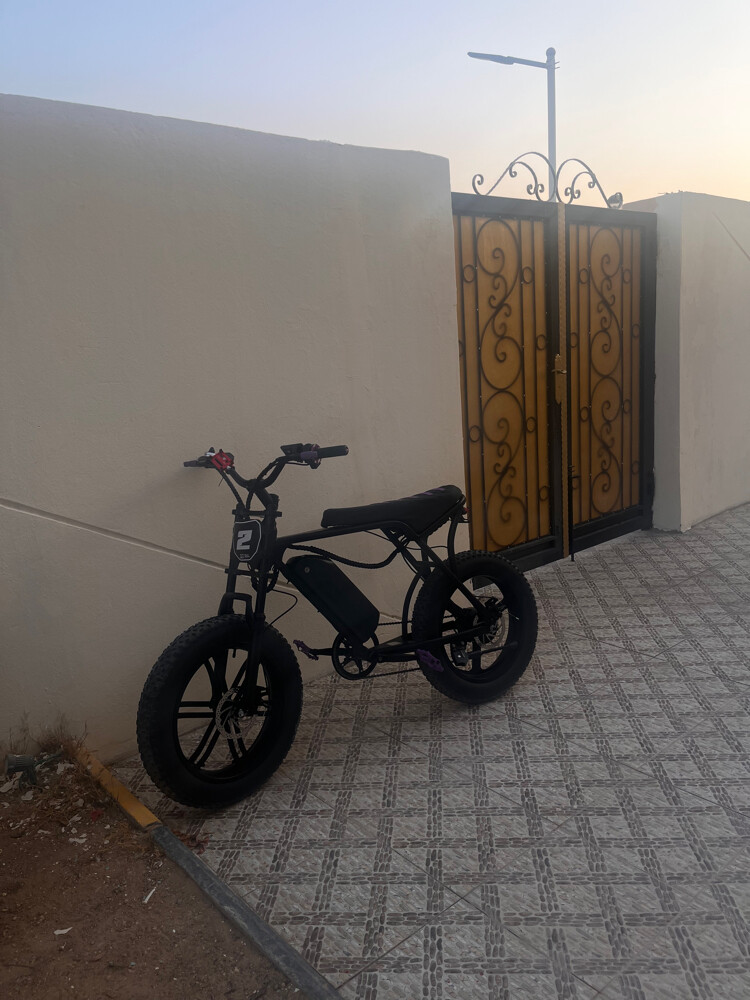 PRO E-Bike - 1