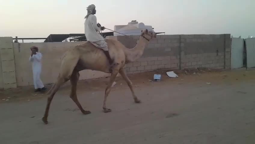 بيع - 1