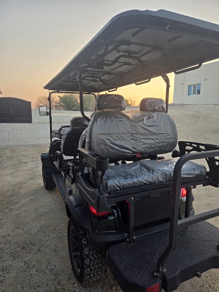 For sale: 2025 model electric golf - 12