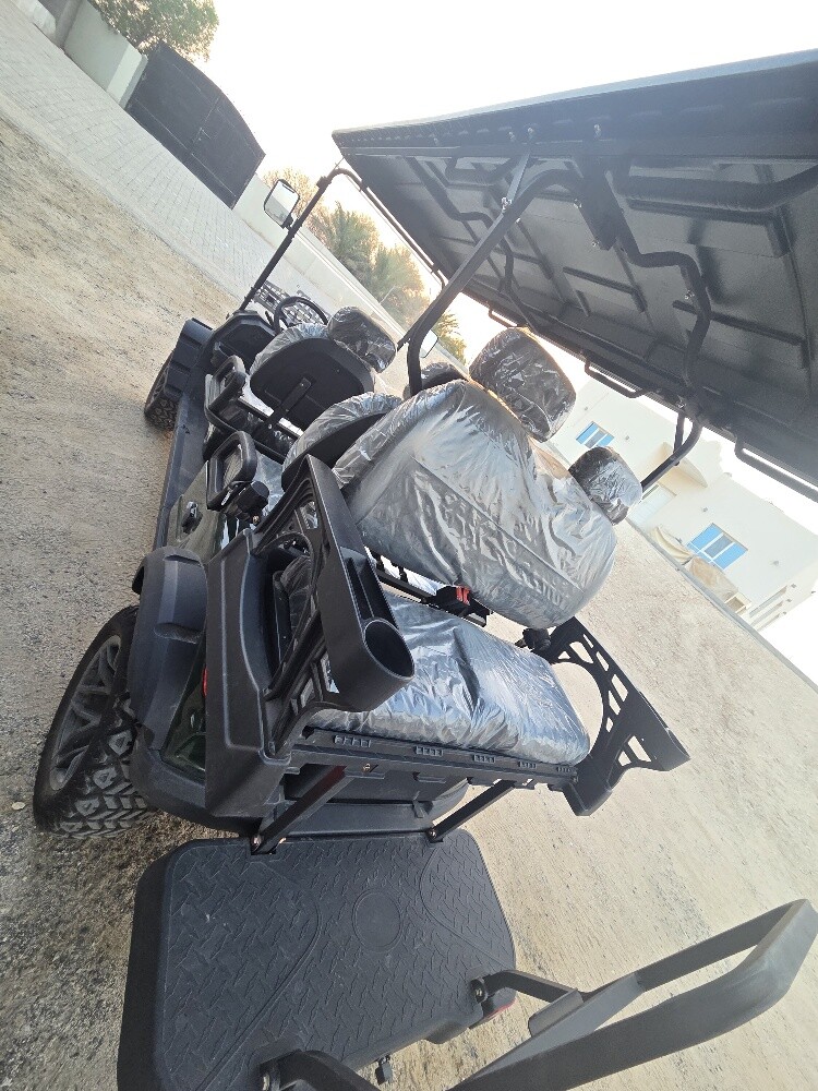For sale: 2025 model electric golf - 6