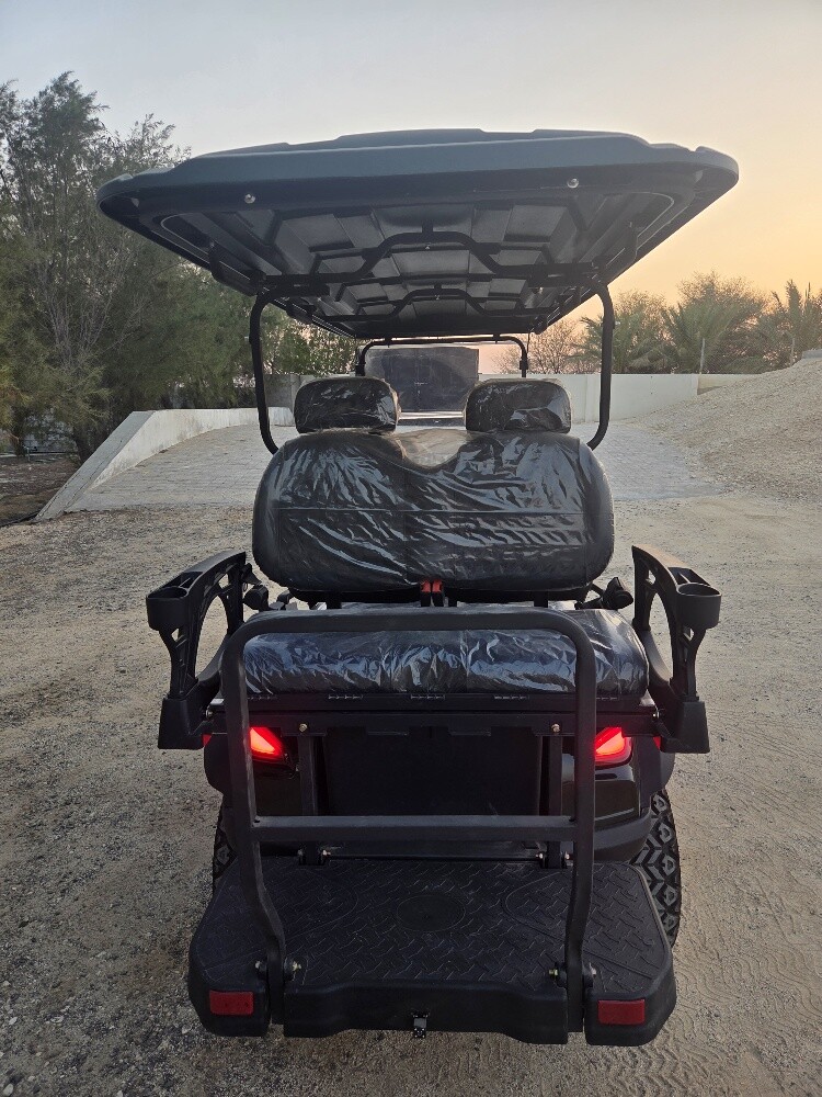 For sale: 2025 model electric golf - 10