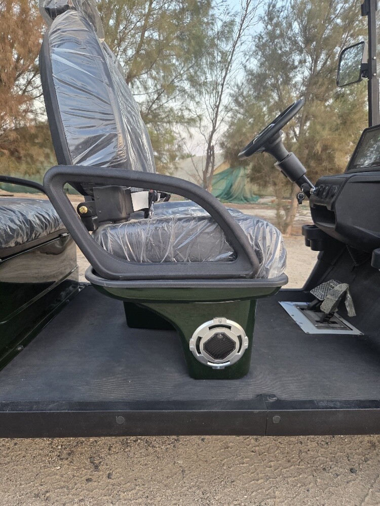 For sale: 2025 model electric golf - 16