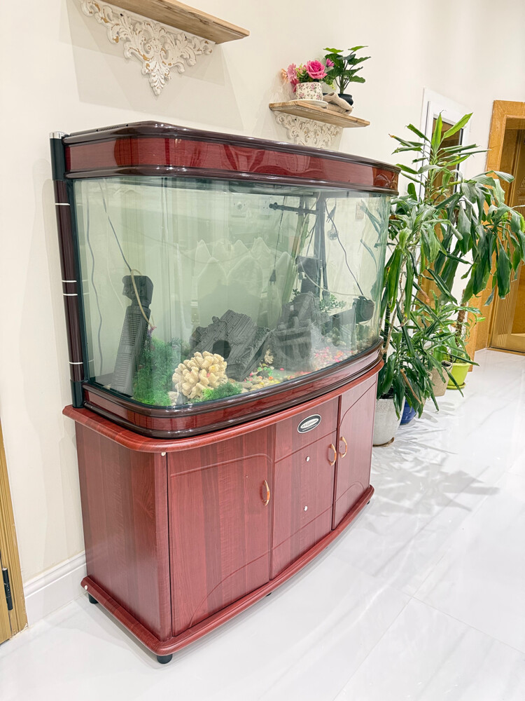 Aquarium - 2