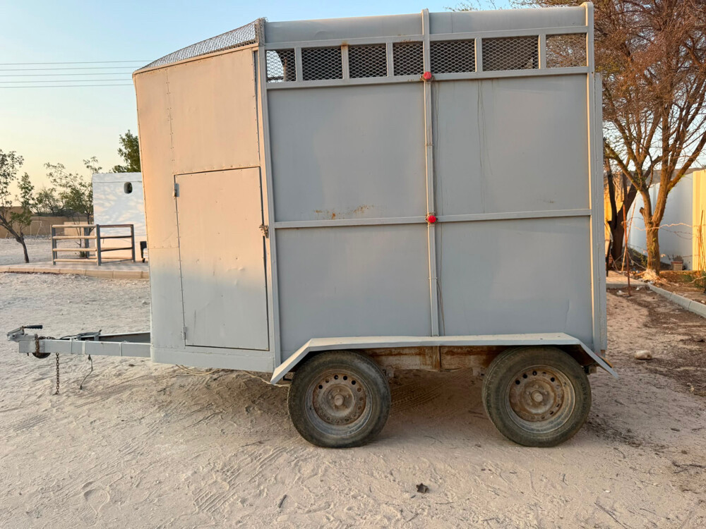 عربة خيل لراسين - 1