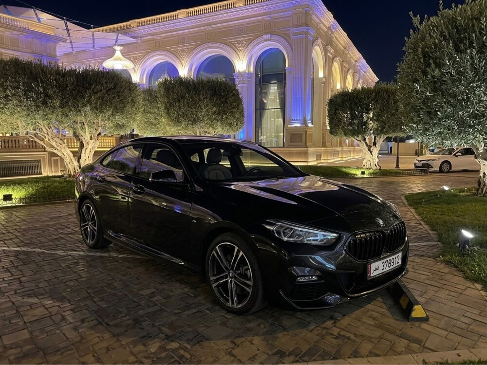 بي إم 218 - 1