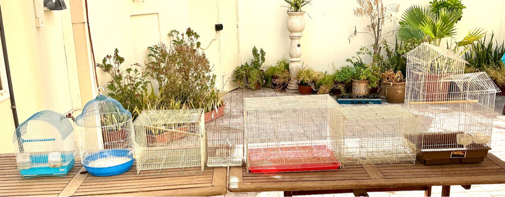 Various Size of Cages -QAR-100  - 1