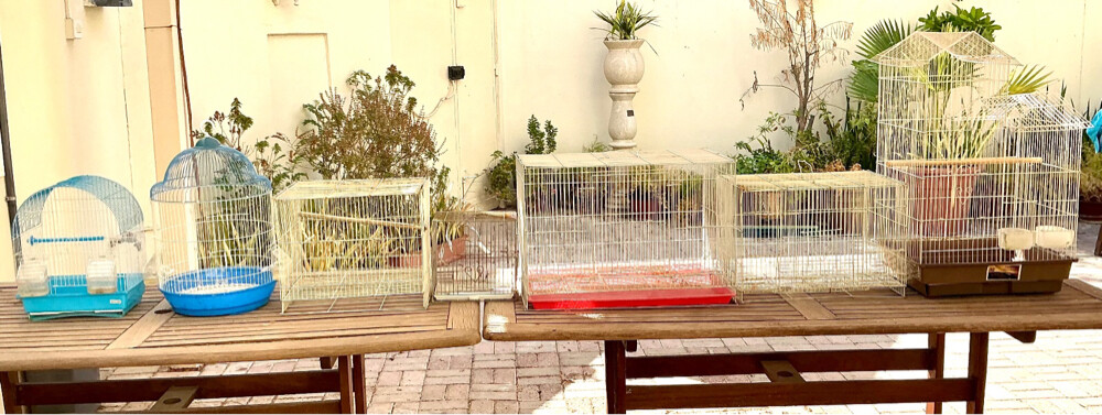 Various Size of Cages -QAR-100  - 2