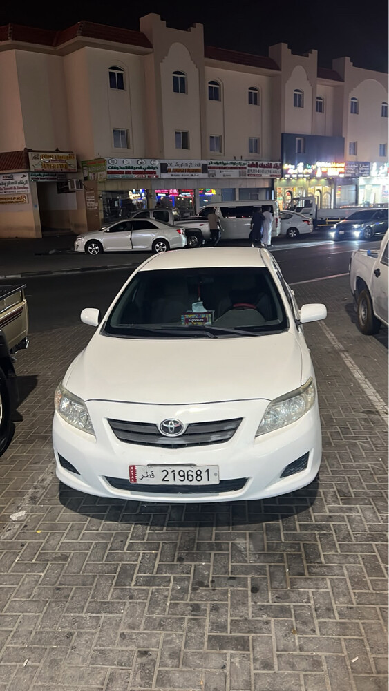 للبيع كوريلا نظيفة - 3