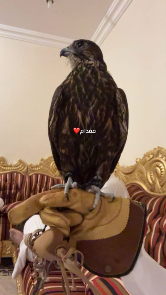 بيع. - 2