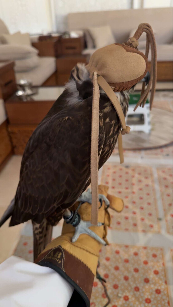 بيع. - 1