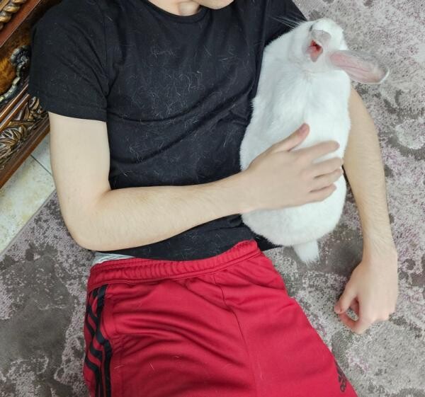 White Rabbit for Free Adoption - 1