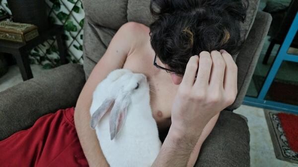 White Rabbit for Free Adoption - 2