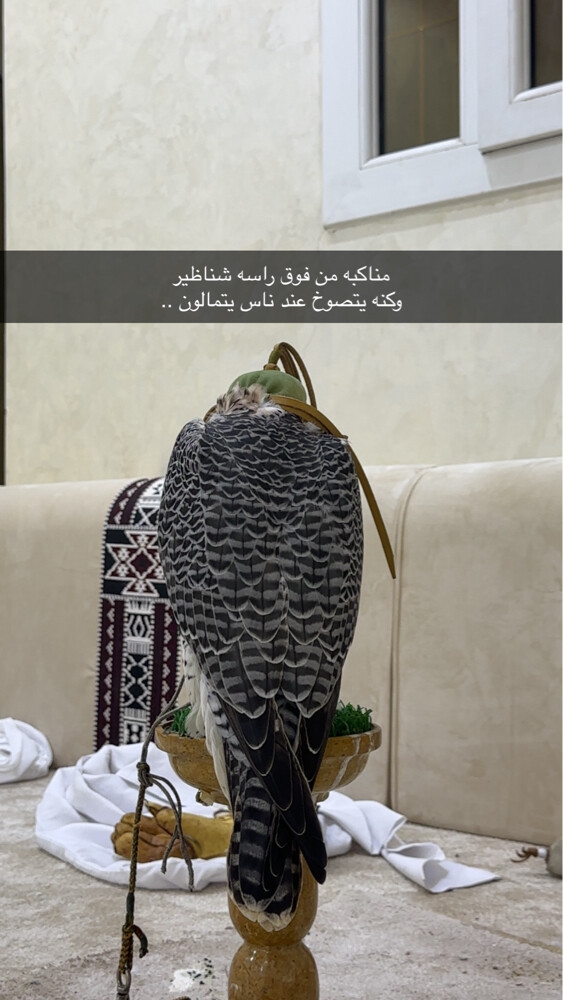 جير تبع - 1