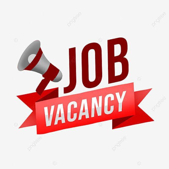 Consultant/Travel Agent - 1