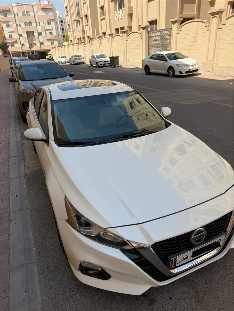 التيما ٢٠١٩ - 4