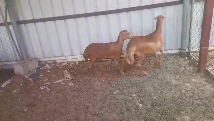 للبيع عوارض خصم - 1