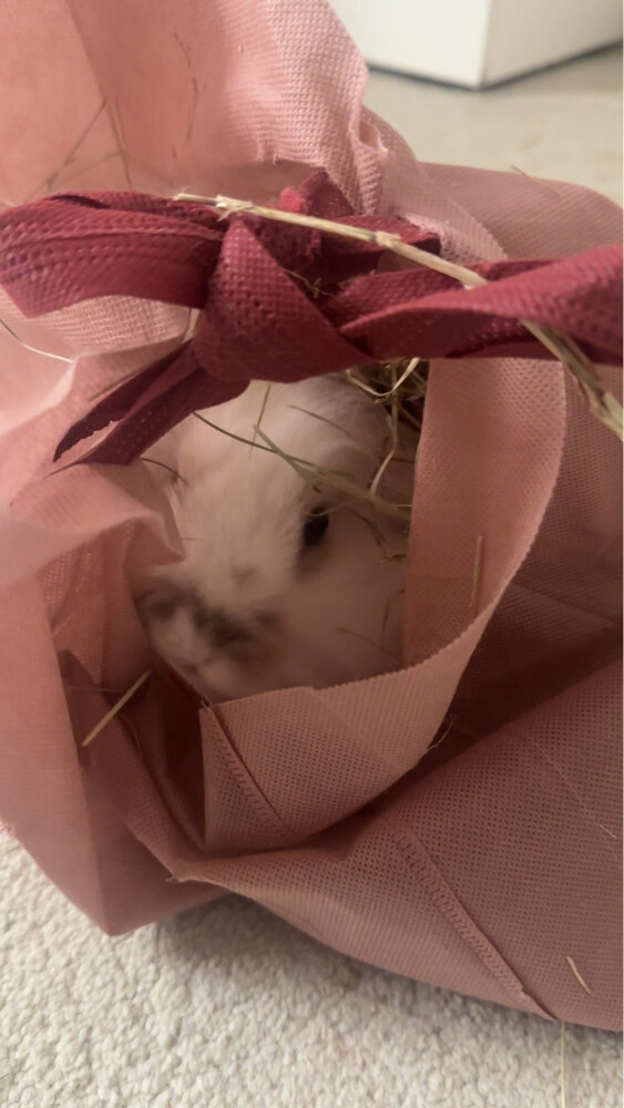 mix lop and fuzzy lop  - 3