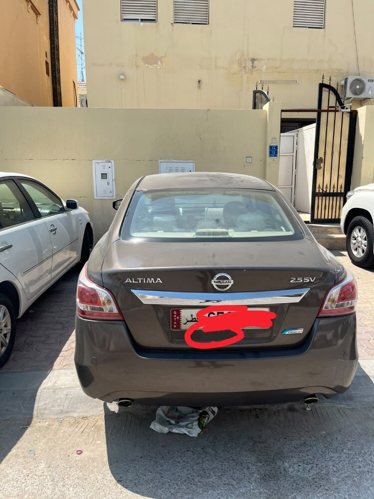 التيما 2013 - 4