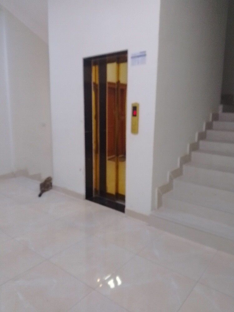 Apartment for rent (3 rooms) - 3