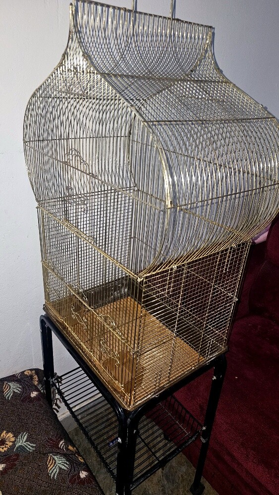 parrot cage - 1