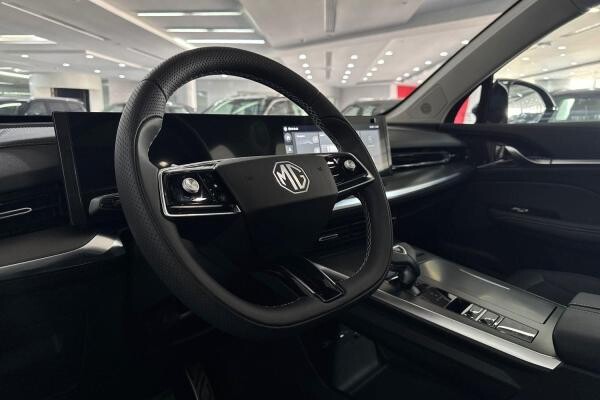 MG WHALE 2.0T 2024 560KM - 13
