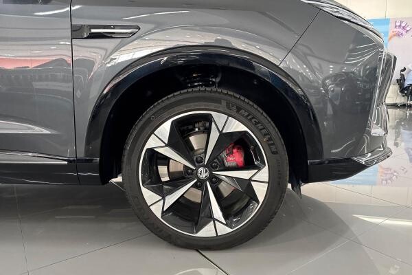 MG WHALE 2.0T 2024 560KM - 5