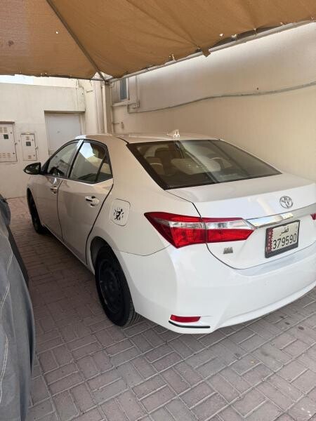 الريان - 6