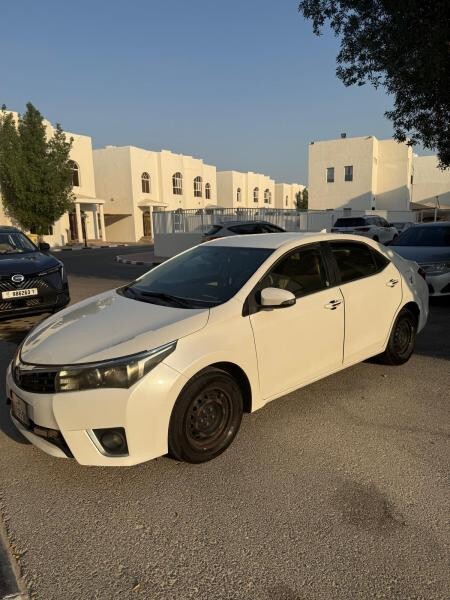 الريان - 2
