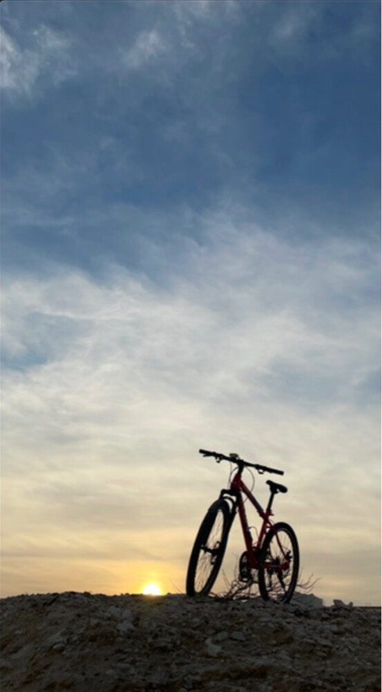 bicycle for sale - 4