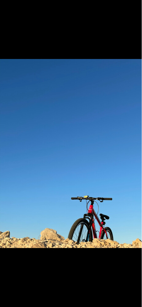 bicycle for sale - 3