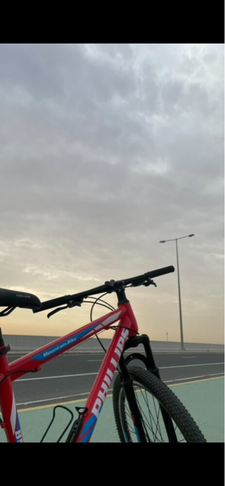 bicycle for sale - 1